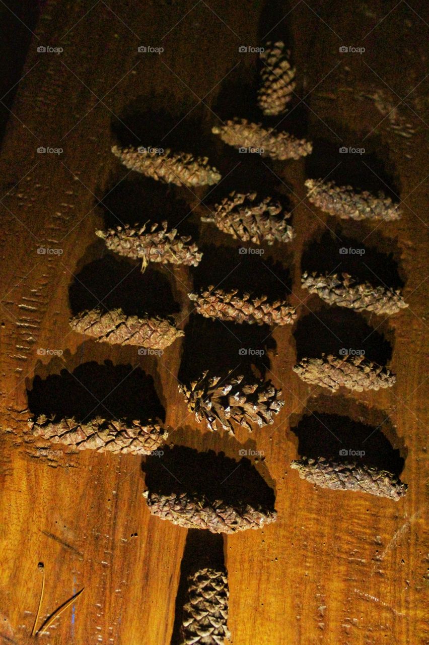 pinecone pattern