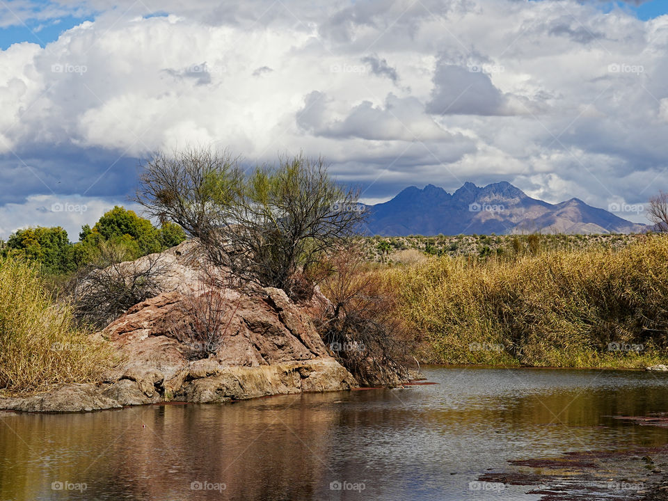 Four Peaks loom in the background of a colorful pond near Phoenix Arizona