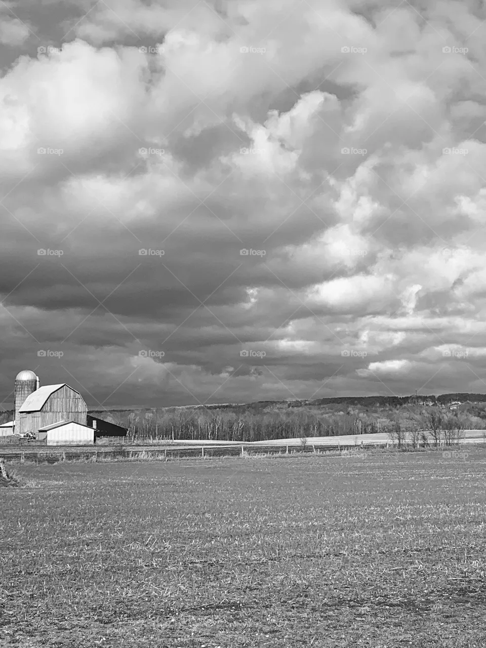 Tiny Township barn 