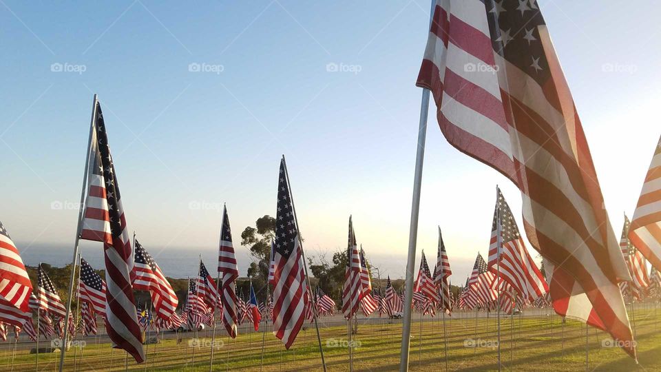 sea of USA flags over the Pacific Ocean