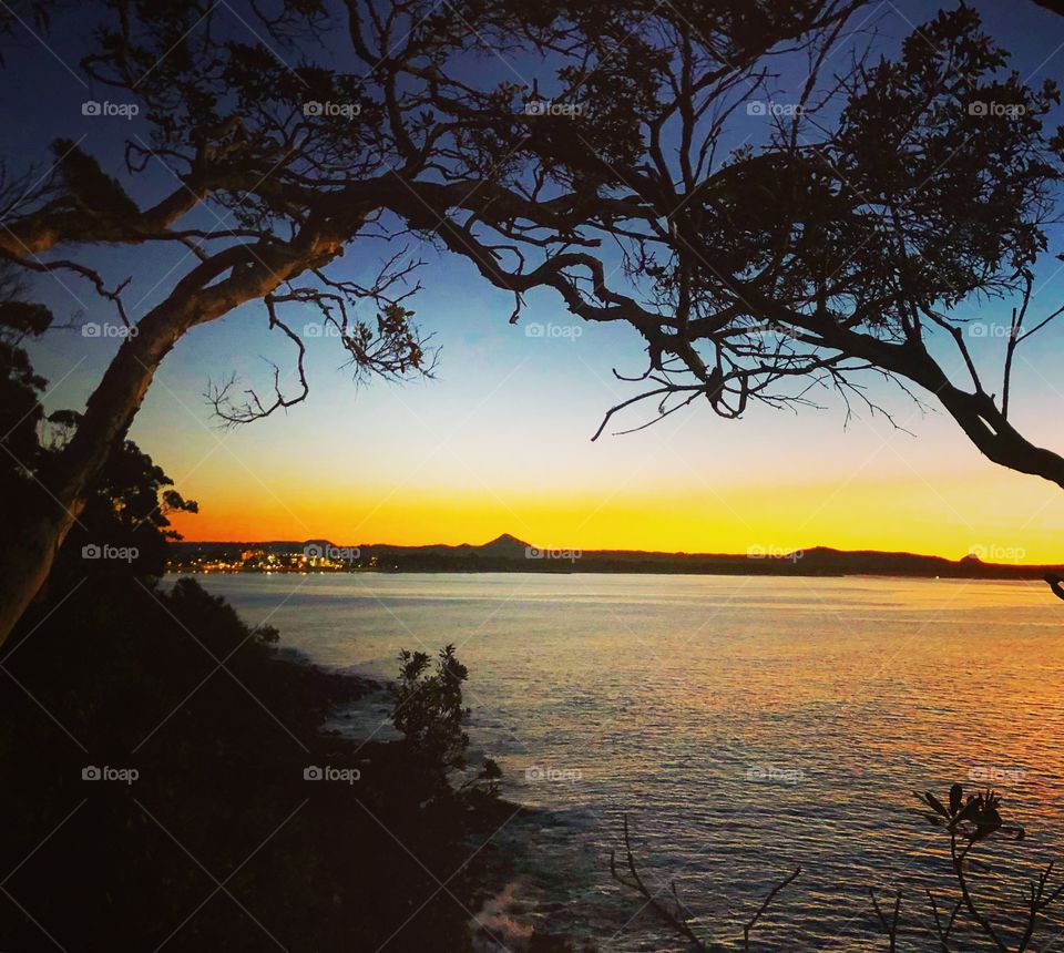 The light through the trees at sunset over the sea 