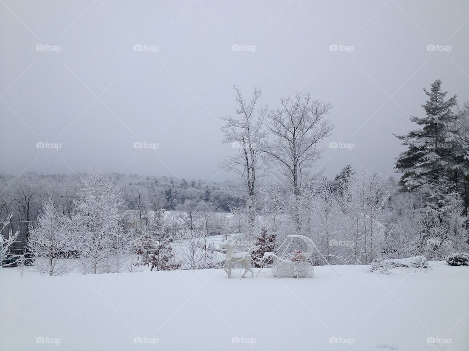 Frozen horse cart during winter