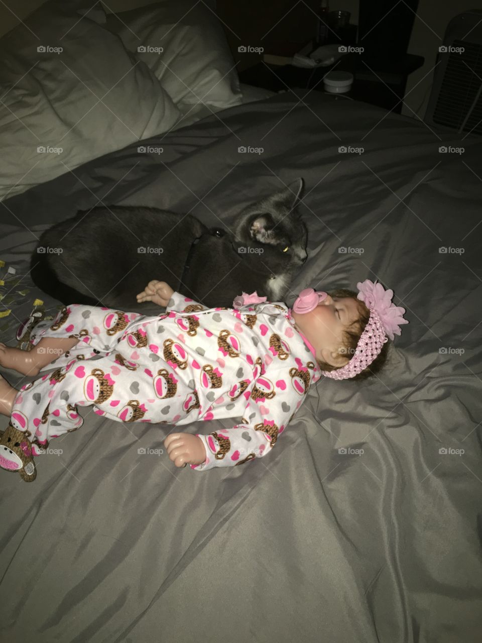 Cat cuddling up to a doll