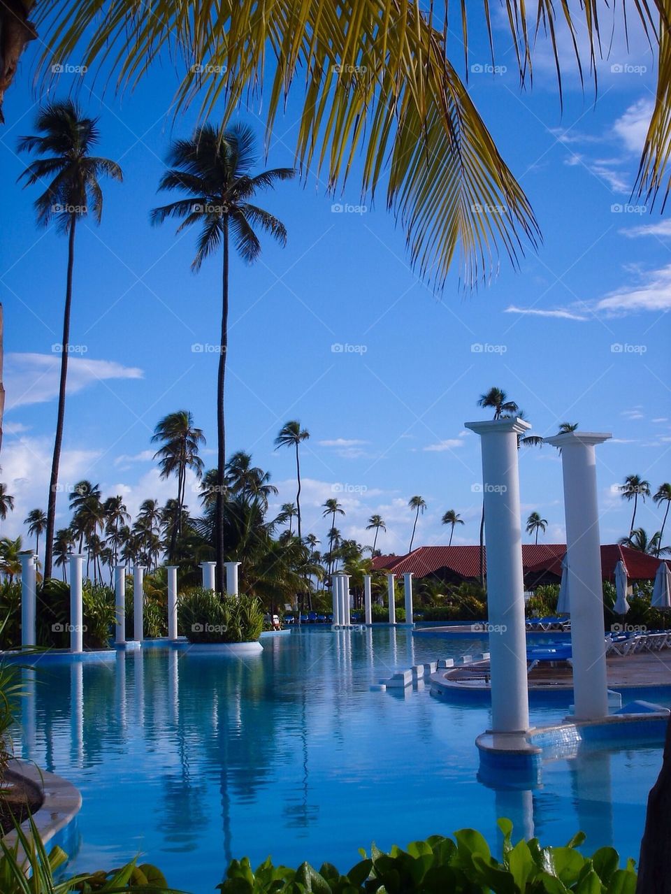 Puerto Rico poolside