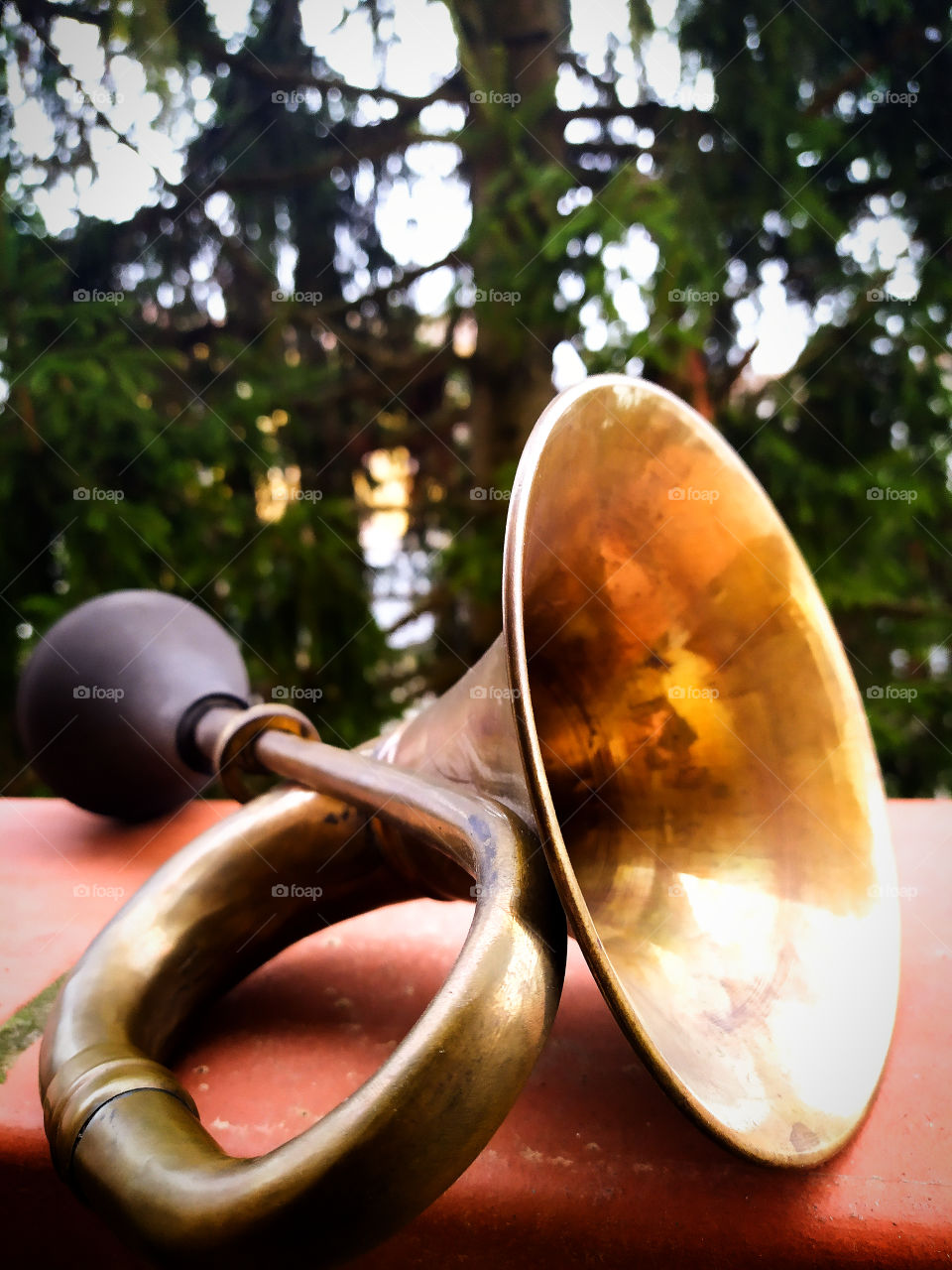 Klaxon from an old car on the background of a fir tree