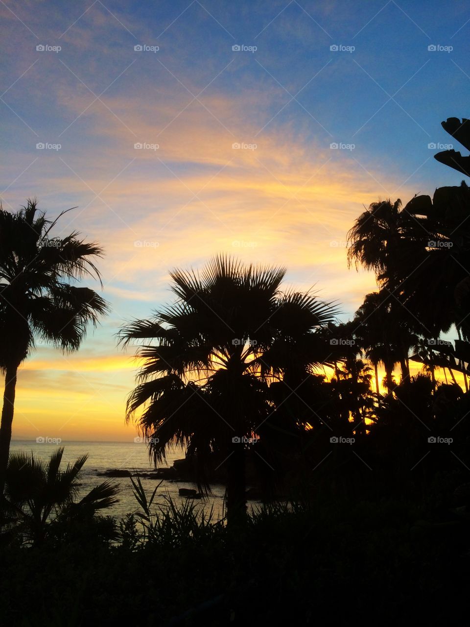 Heisler Park, Laguna Beach. Heisler Park, Laguna Beach