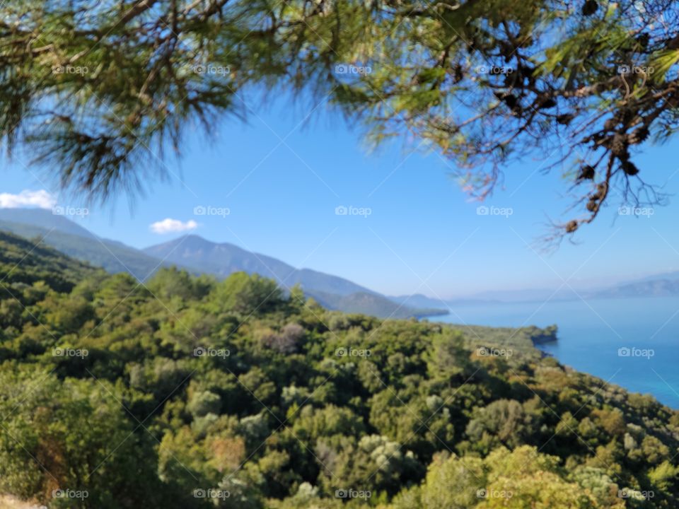 Framed mountain and lake view