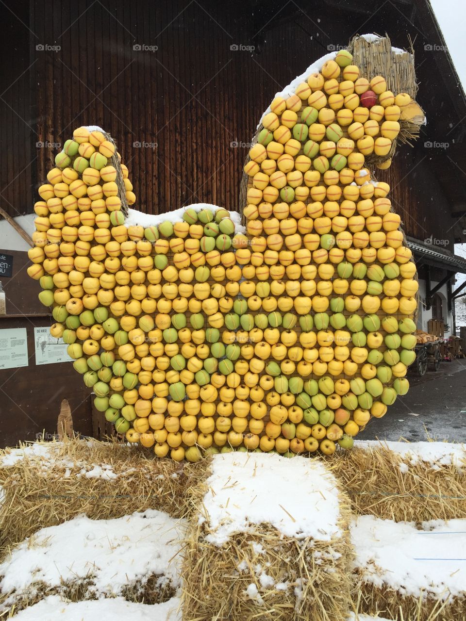 Huge hen made of apples and straw - sculpture made by an organic Farm house 