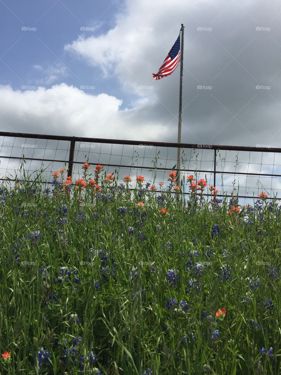 American flag over Texas wild flowers
