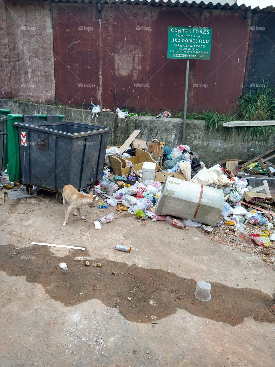 auxílio emergencial
