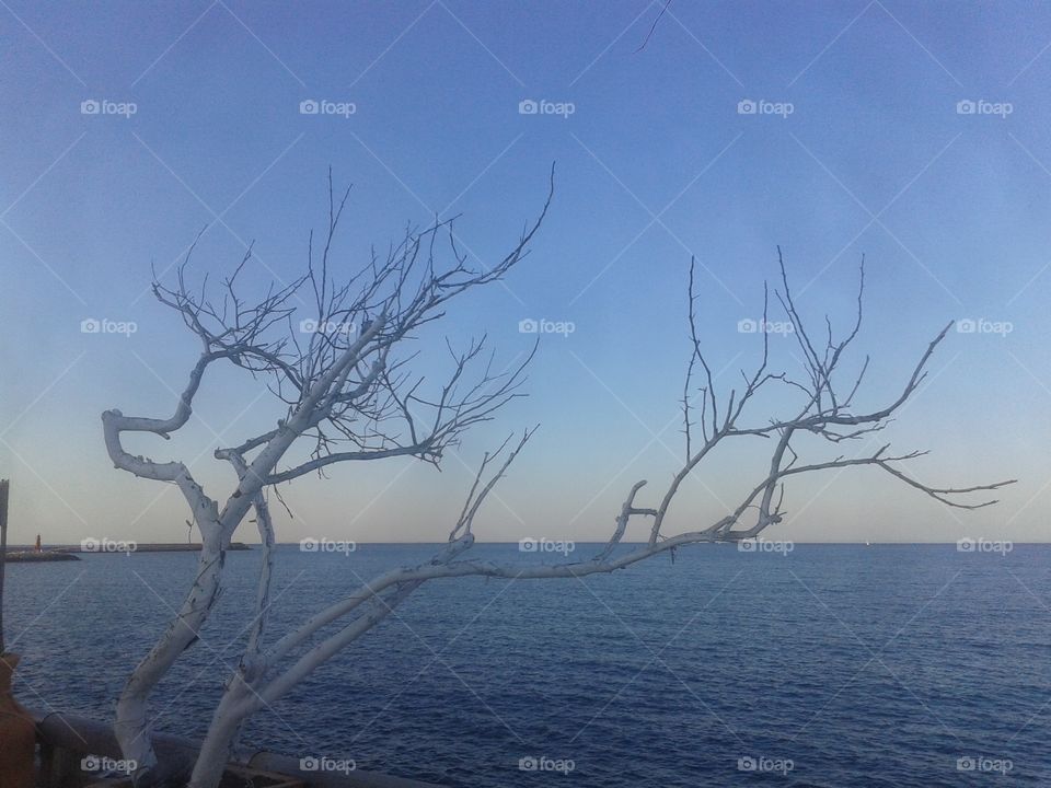 Landscape, Water, Sky, Tree, Nature