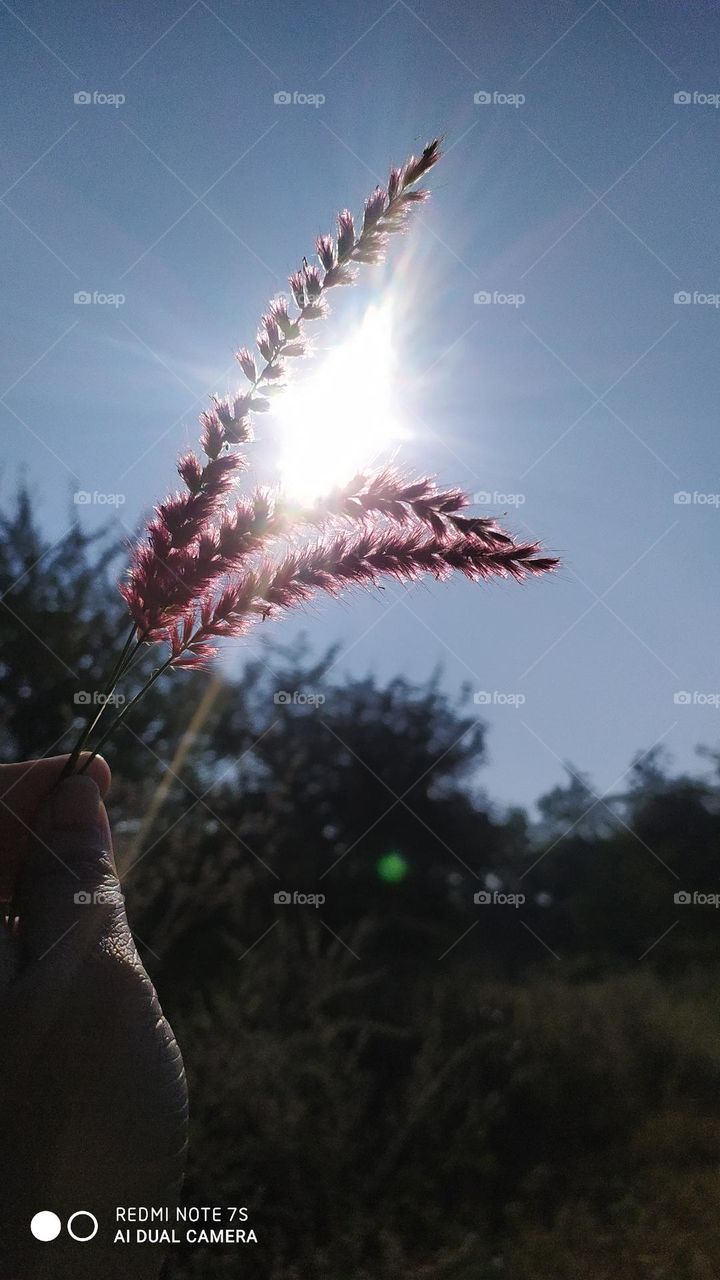 Summer means happy times and good sunshine ☀ - Brian Wilson