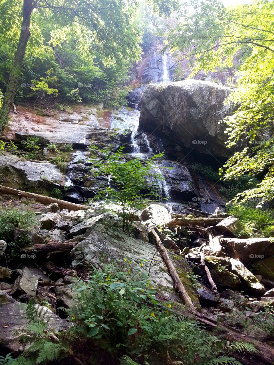 Hiking in southwestern Virginia
