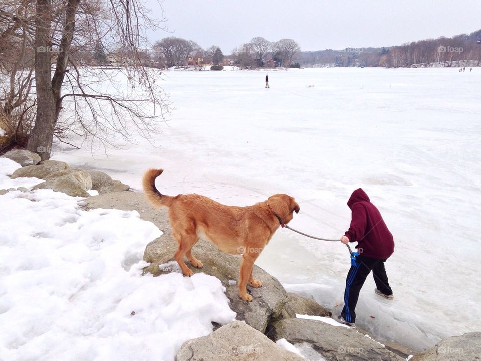 Walk the dog on ice