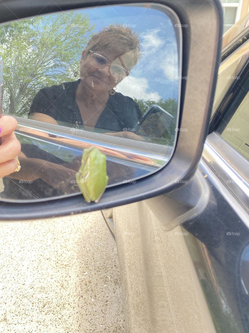 Frogs looking glass perspective 