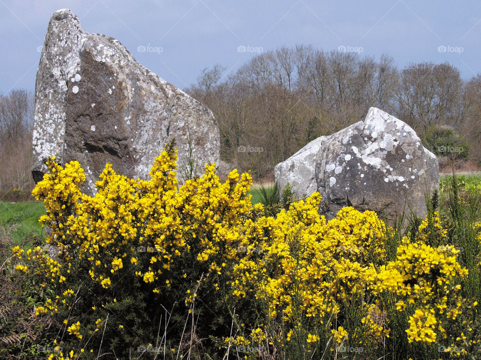 Carnac