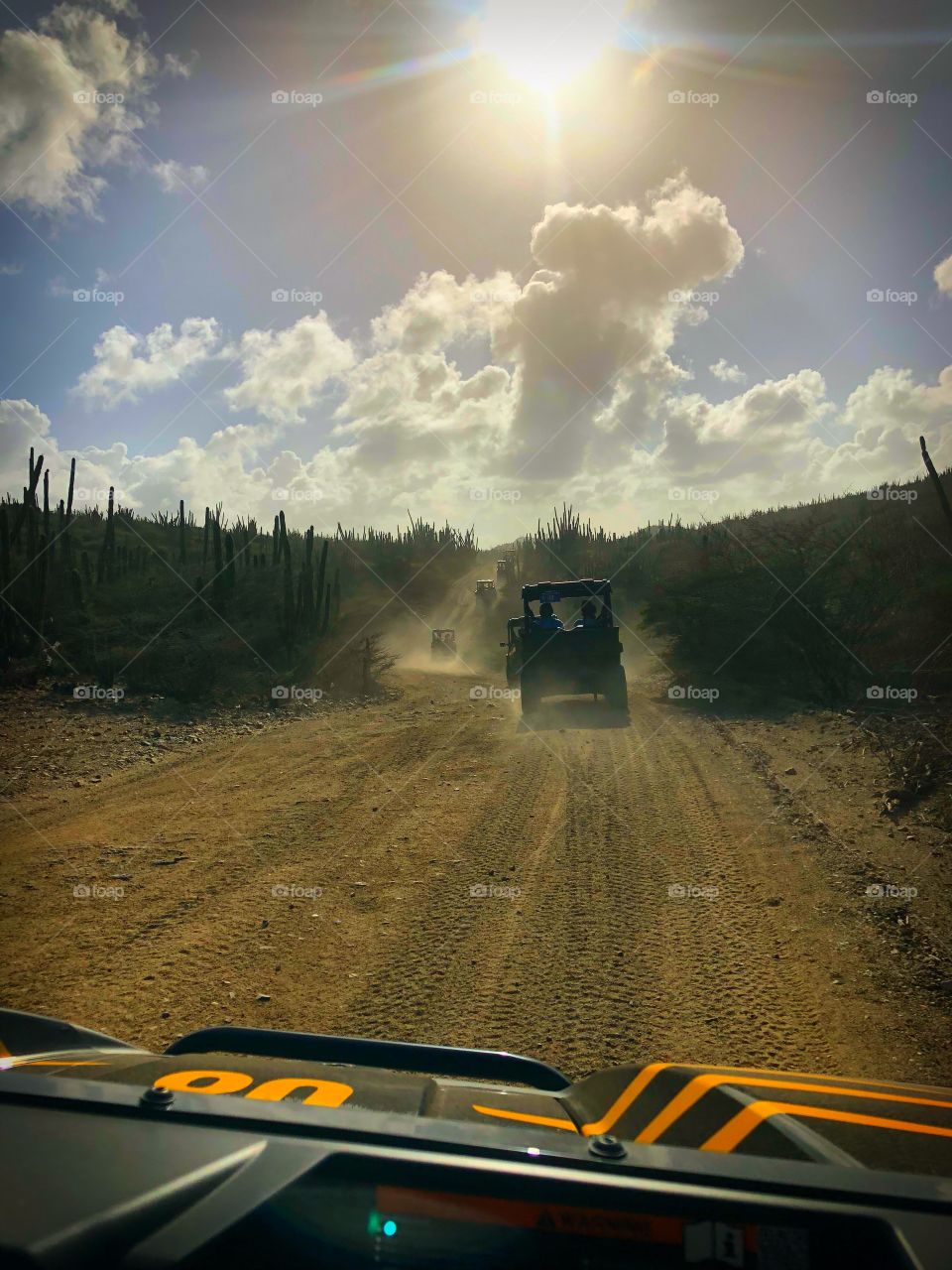 UTV ride in Aruba during Carnival Sunshine Cruise Excursion 