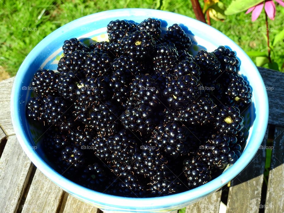 Blackberries from my garden