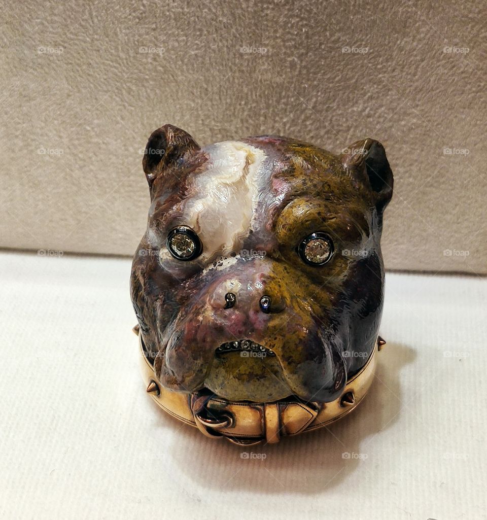 Bulldog head