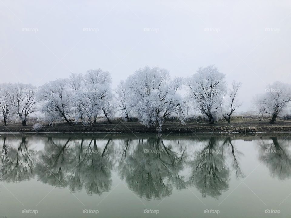 Symmetrical Reflection