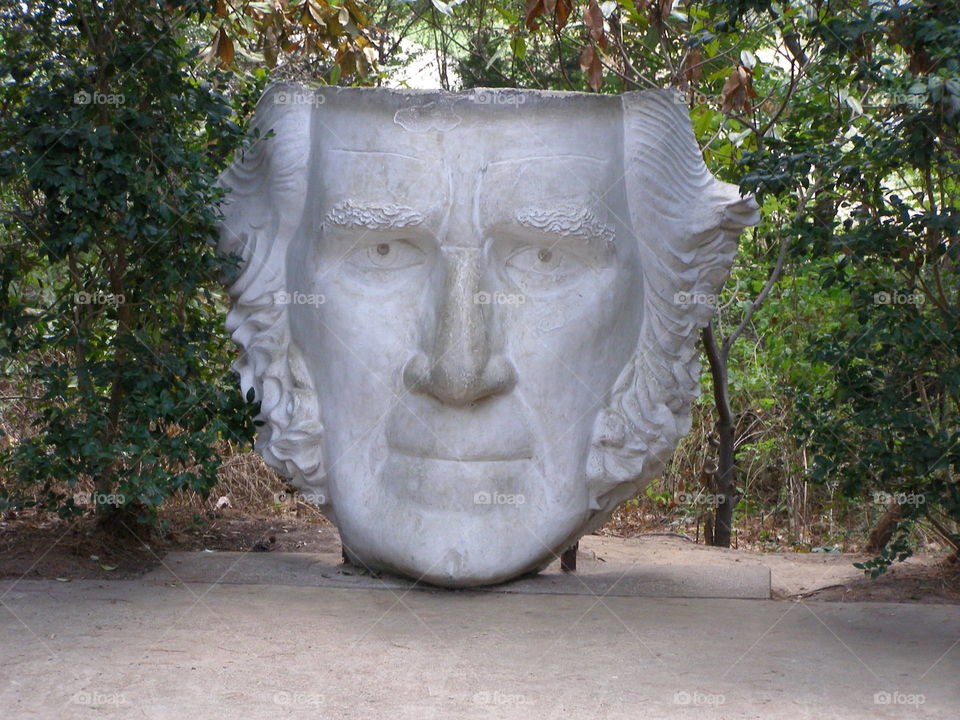 Likeness of Sam Houston's  Head