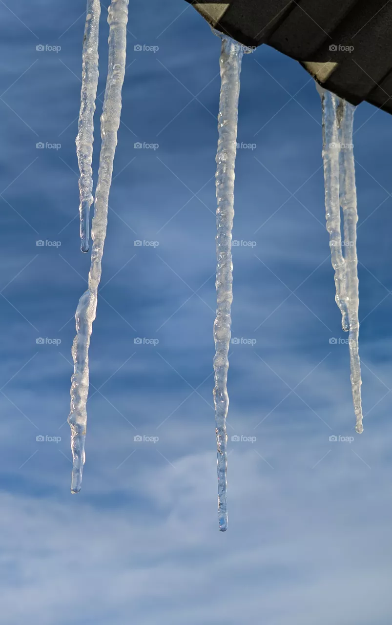 Melting icicles against the blue sky