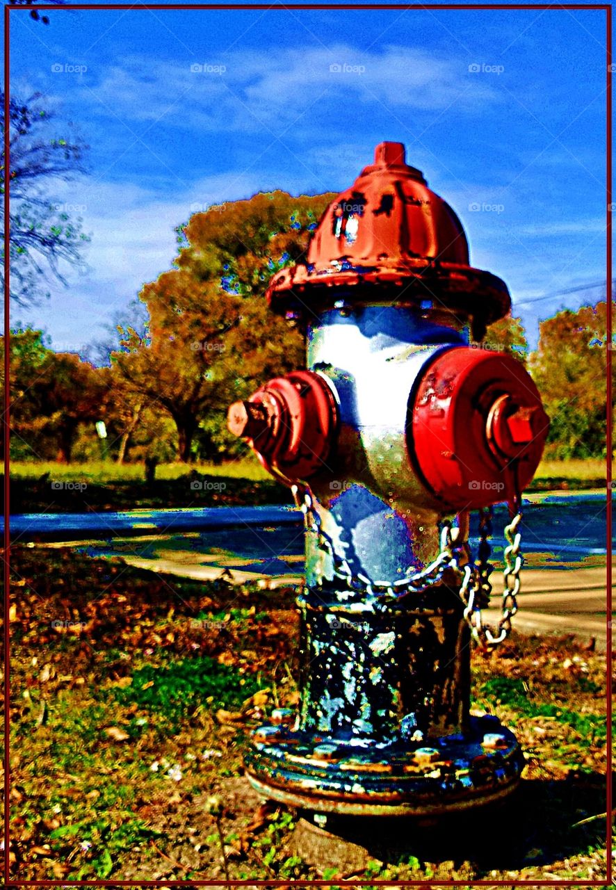 The fire hydrant