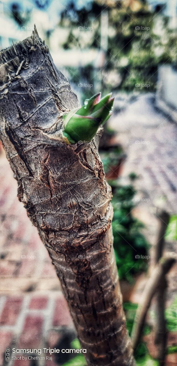 once life ends , never give up again concentrate on grow up