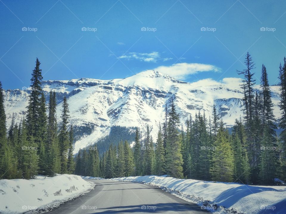 Near Peyto Lake