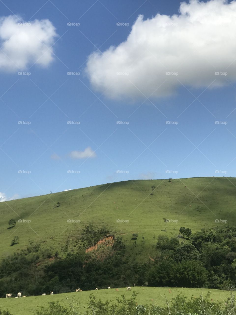 Beautiful day in Rio de Janeiro in Brazil 