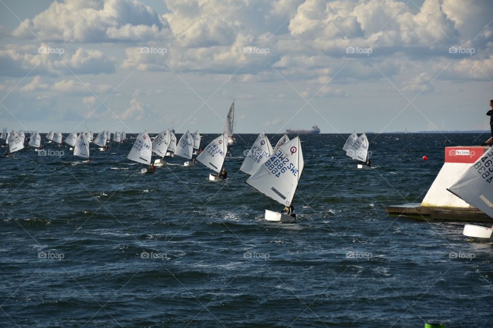 Opti sailing