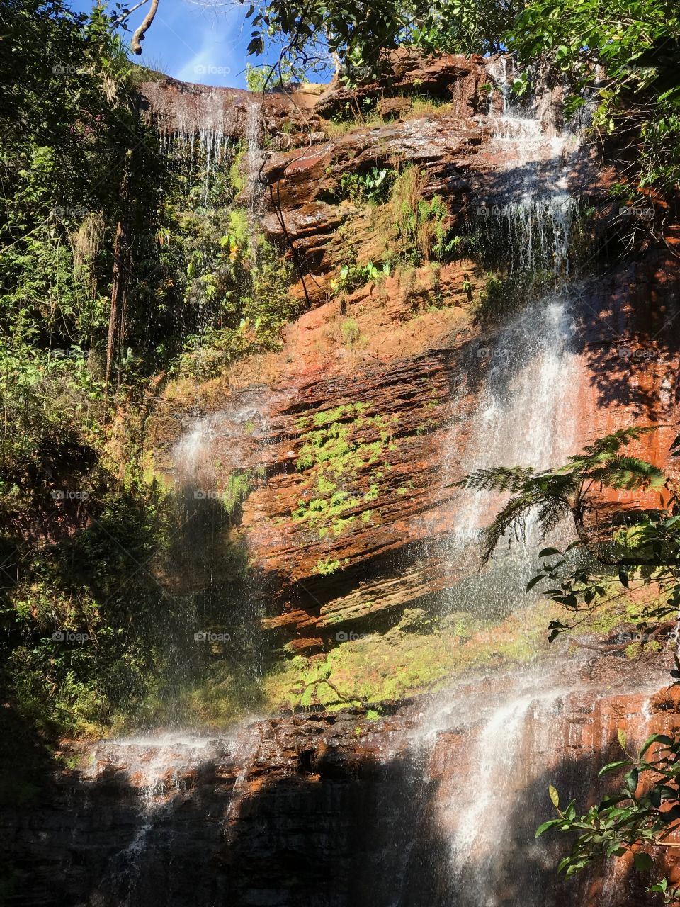 Brasil floresta cachoeiras 