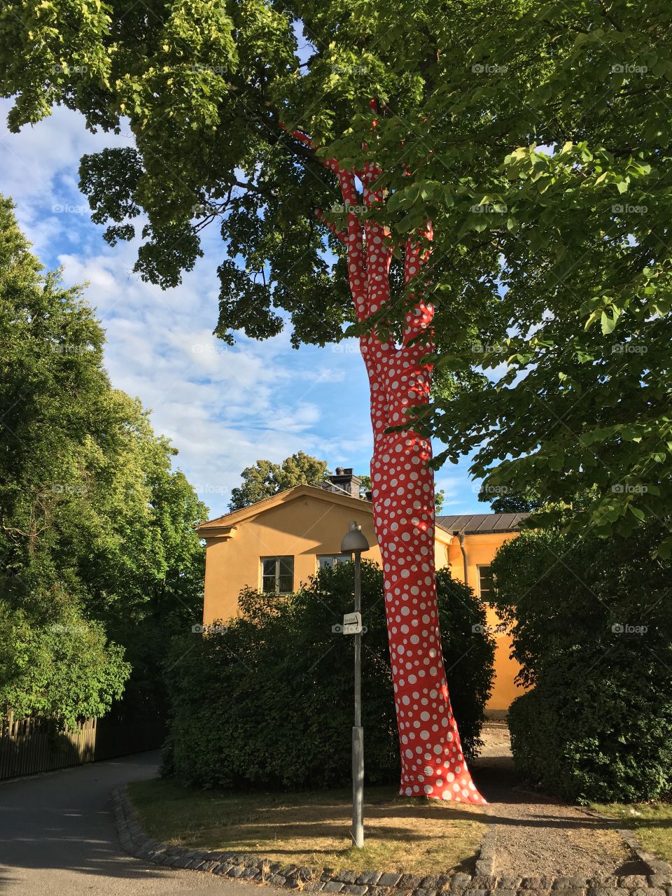 No Person, Tree, Outdoors, Flag, Architecture