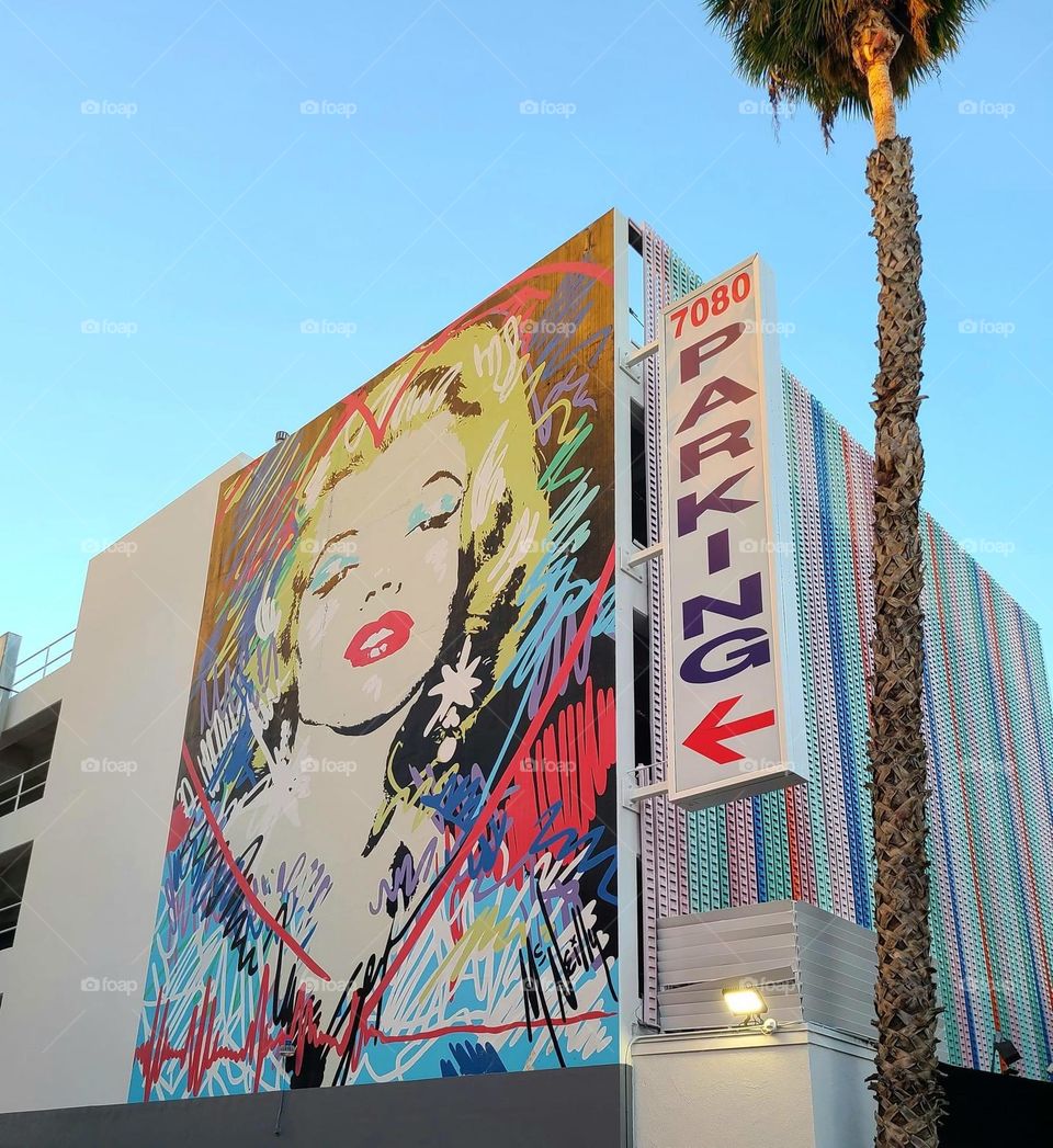 Pictures we took while exploring Hollywood Boulevard during our trip to Los Angeles, California. 