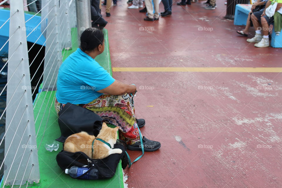 Lady with cat in PR