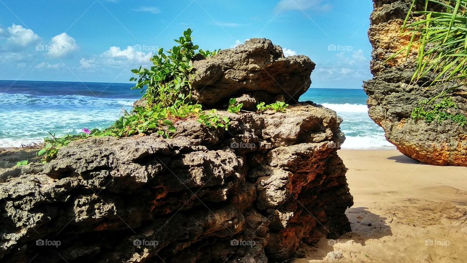Seruni beach in Gunungkidul is the beach developed after Coast Pok Tunggal by the people around the district Tepus. This beach have attractiveness other fallout water from the top of a cliff similar like a waterfall, the sandy white, fun to camp out.