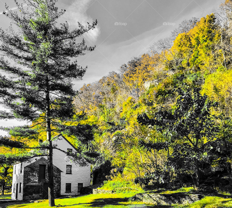 Autumn hillside view 