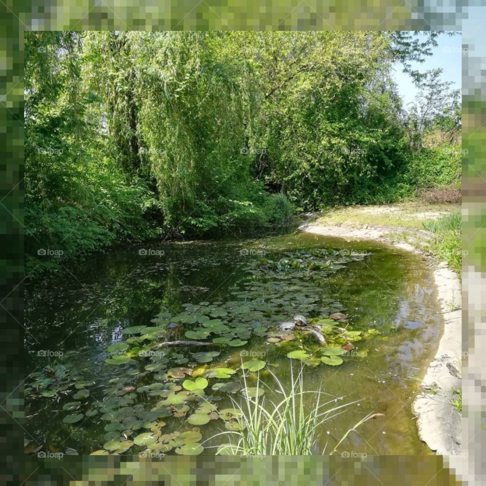 Only green. Only nature.