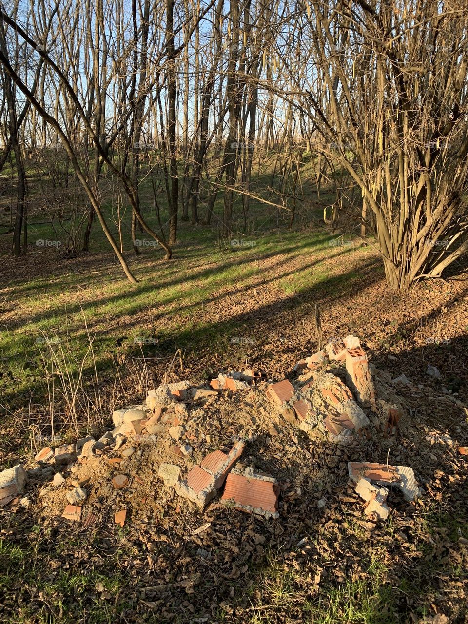 Walking in the Italian woods it is common to come across piles of rubbish or bricks left illegally so as not to pay for correct disposal. 