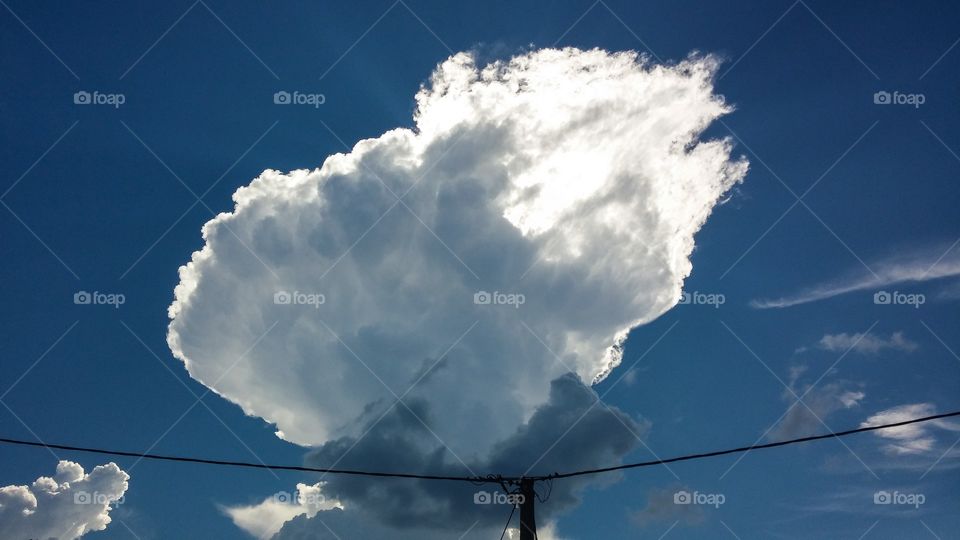 Cloud. A cloud