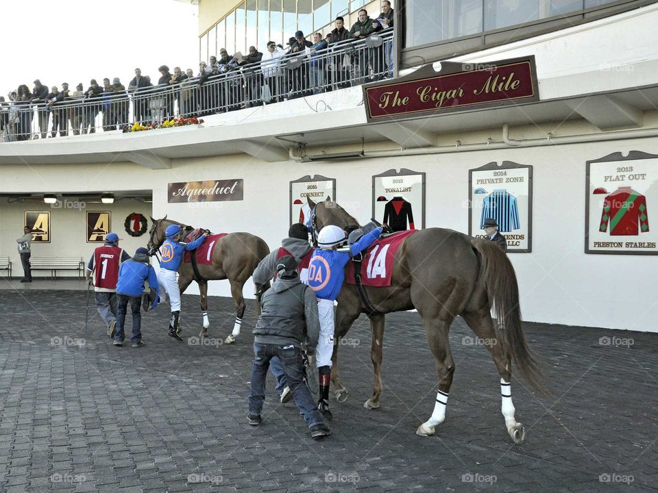 Drawing Away Stables by Fleetphoto