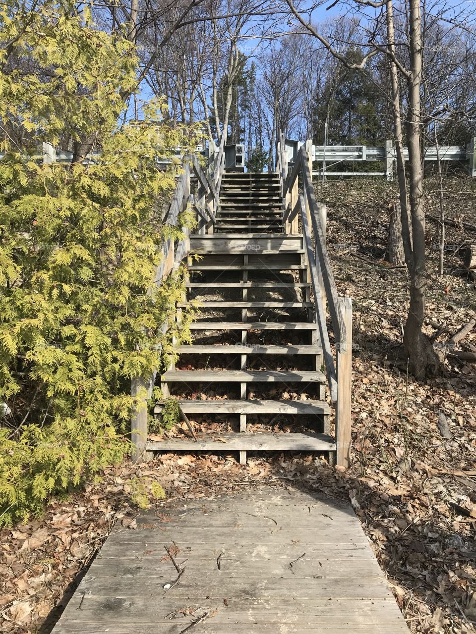 Wooden stairs going up from the lake to the road. 