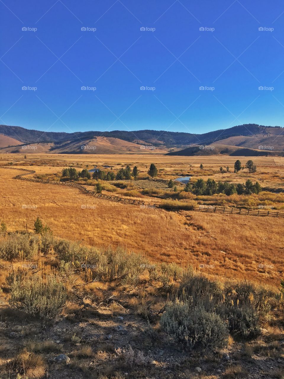 Idaho High Mountain Valley, Stanley Basin