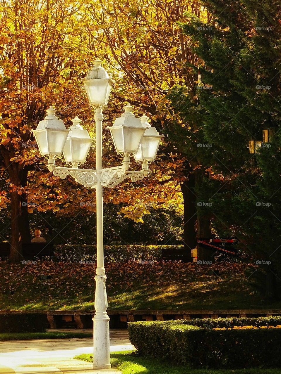 Lamppost in the garden