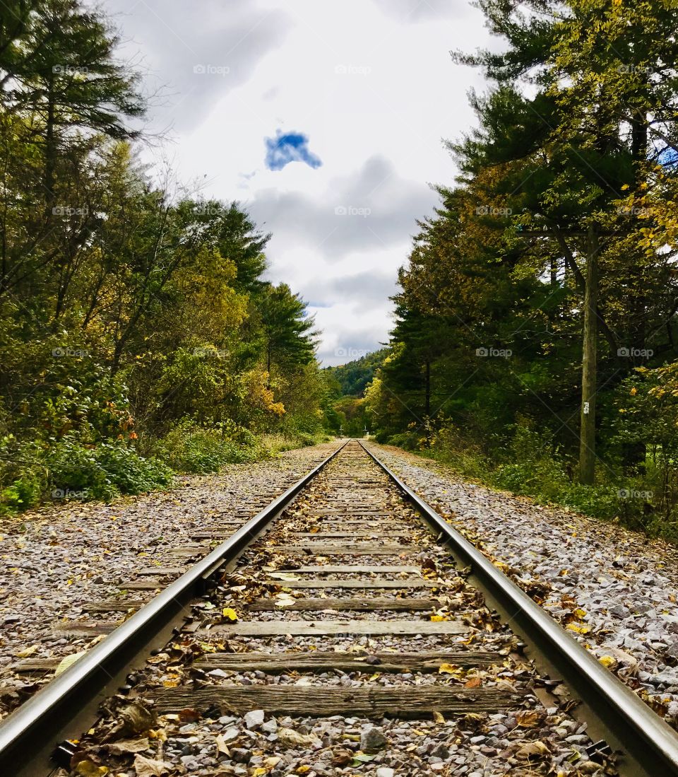 Lonely Railroad track