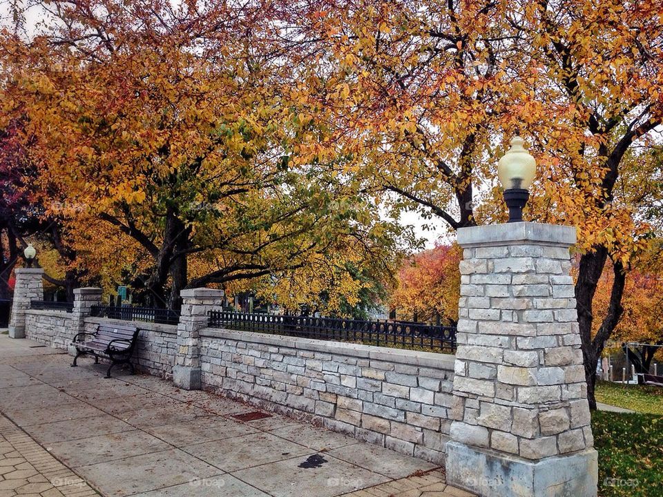 Autumn Colors of Manistee