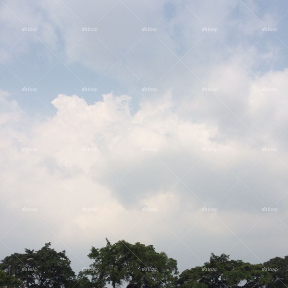 Full of trees’ scenery and bunch of white clouds in front of Great Mosque Bandung, Indonesia. 