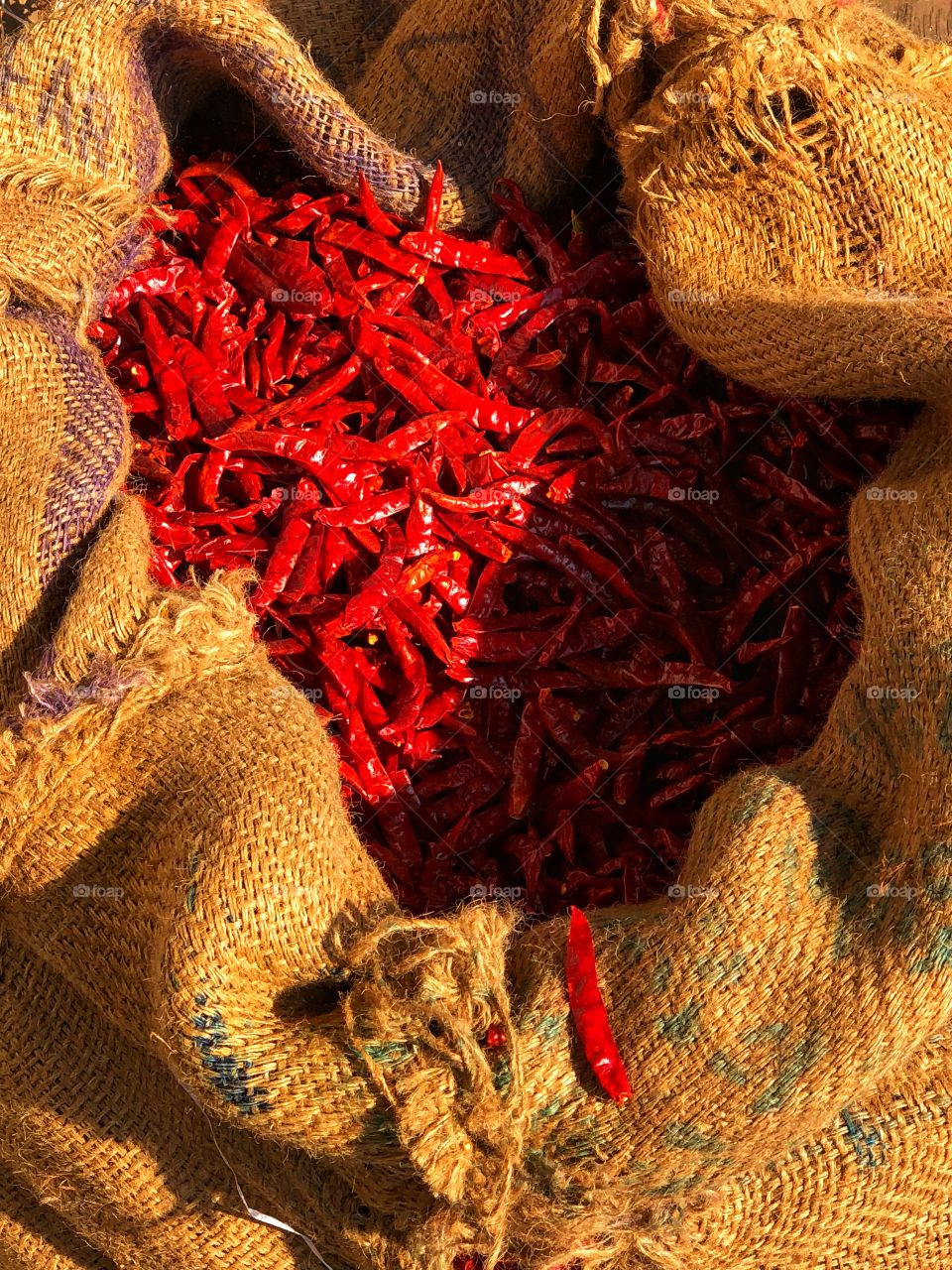 Organic red chilli peppers for sale by the bundle! 