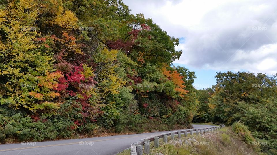 Fall foliage on blue ridge parkway