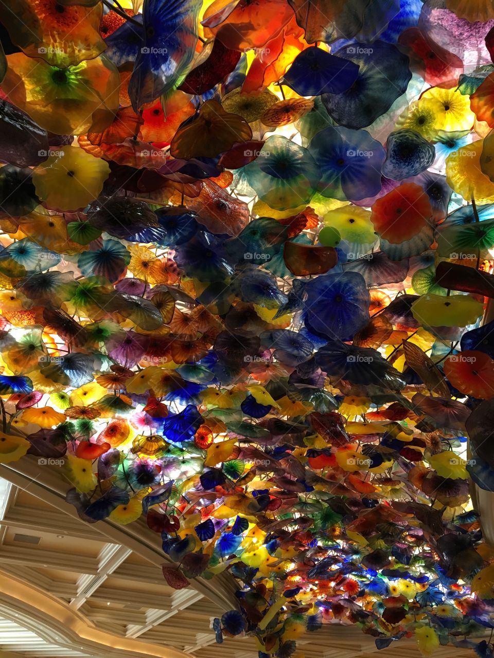 Bellagio Ceiling 